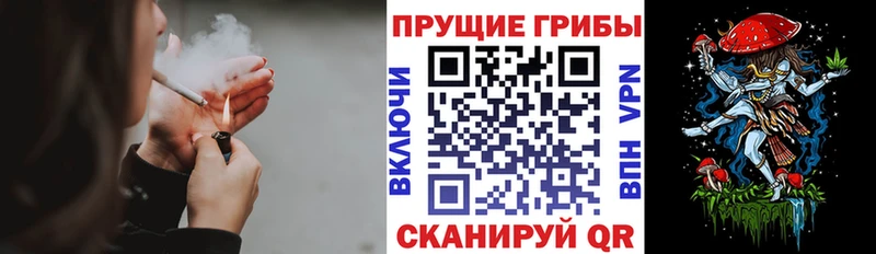 omg рабочий сайт  закладки  Каменка  это состав  Псилоцибиновые грибы прущие грибы 